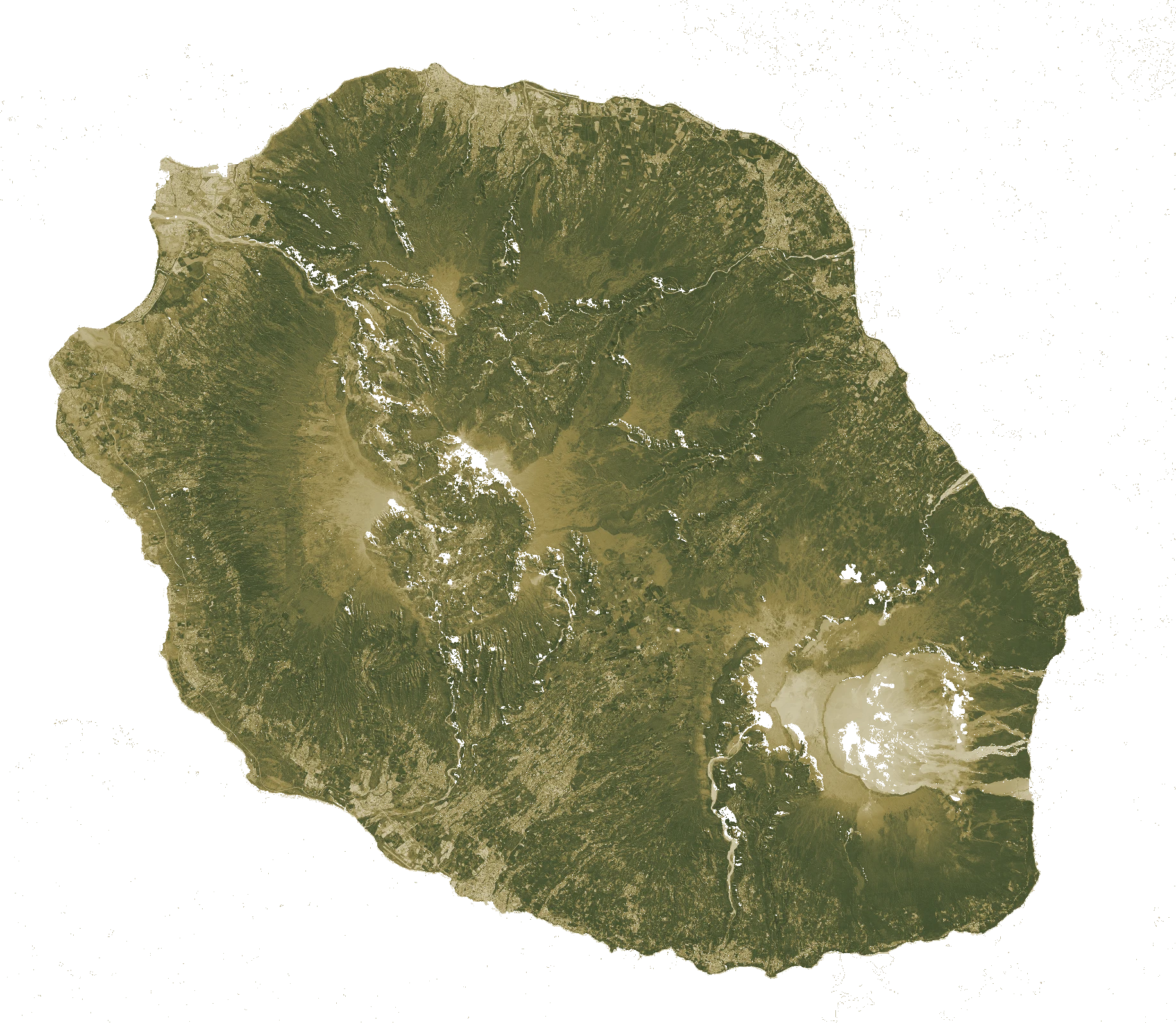 La même île en indice de végétation : forêts et cultures denses en vert foncé, sols nus et coulées de lave en tons clairs