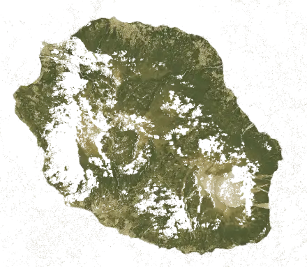 Indice de végétation de La Réunion en février 2026